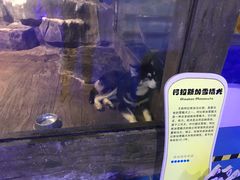 -台州海洋世界
