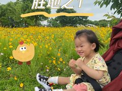 -菊园百果园