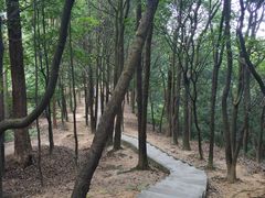 -火炉山森林公园