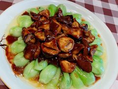 -红星渔村(将军石店)