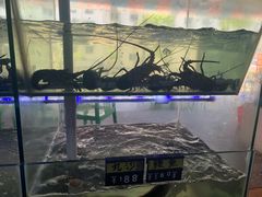 -海之鲜大排档(东山海鲜金銮湾店)