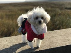 -骐奇宠物诊疗中心(南亭公路店)