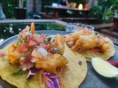 -Pistolera Mexican Cantina女枪手墨西哥餐厅(碧云路店)