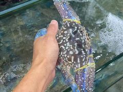 -三亚相缘海鲜·烧烤·糟粕醋(三亚湾店)