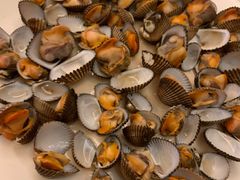 白灼毛蚶-覃记海鲜美食餐厅