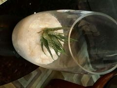 android_upload_pic-天津君隆威斯汀酒店