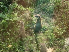 -成都动物园