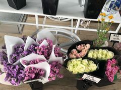 -鱼酷活鱼烤鱼(中联广场店)