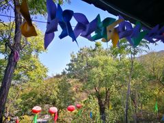 -南窖乡水峪村山情农家