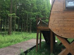 -黄海国家森林公园