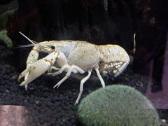 -正佳极地海洋世界