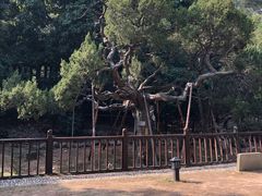 -草庵摩尼教遗址公园