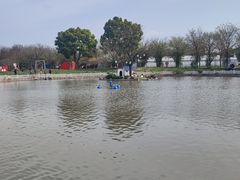 -鹅湖玫瑰文化园