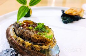 Steamed Fresh Dalian Abalone with Tangerine Peel