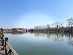 -溱湖国家湿地公园