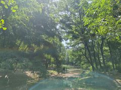 -长白岛森林公园