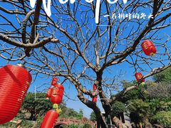 -广州莲花山旅游区