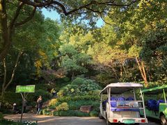 -杭州半山国家森林公园