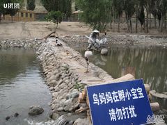 -新疆天山野生动物园