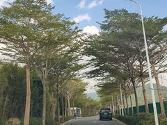 -亚龙湾国际玫瑰谷