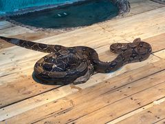 -石家庄市动物园