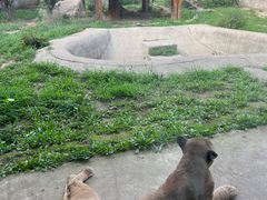 -齐齐哈尔龙沙动植物园
