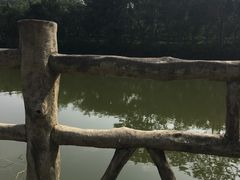 -大屏嶂森林公园