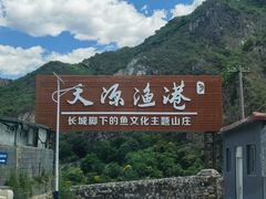 -天源渔港农庄