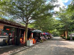 -七仙岭温泉国家森林公园