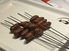 -金刚山烧烤(红旗大街店)