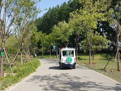 -东郊湿地公园