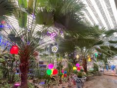 -龙脉温泉室内游泳馆