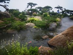 -罗红摄影艺术馆