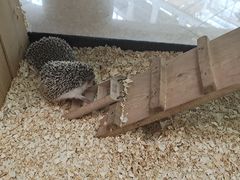 -正佳雨林生态植物园