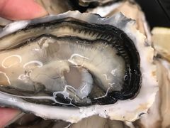 -乐蓬马歇百货公司(Rive Gauche)