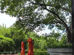 -杭州君悦酒店·青莳