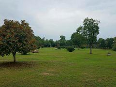 -艾溪湖湿地公园