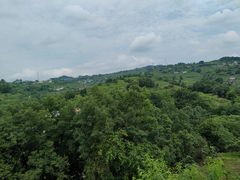 -桃源山庄·水蜜桃采摘·柴火鸡·烧烤团建(龙泉山店)