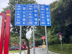 -黄埔油麻山森林公园