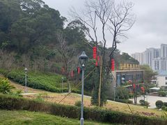 -金鸡山公园