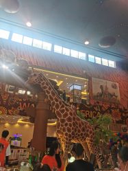 -卡通尼·Safari非洲探索乐园·生日会(金桥国际商业广场店)