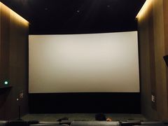 放映厅-汉阳天河电影城(王家湾店)