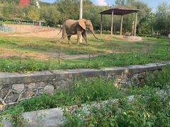 -哈尔滨北方森林动物园