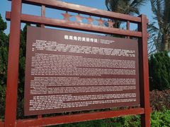 -临高角