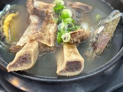 -莲洞本家