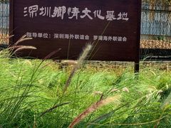 -瑞幸咖啡(罗湖投资控股大厦店)