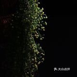 2020.11.07 十一点左右到 等了半个多小时