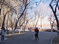 -西宁市人民公园(城西区)