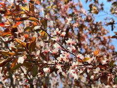 -济南国际园博园