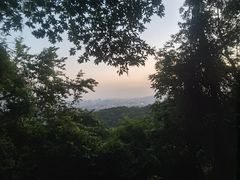 -火炉山森林公园